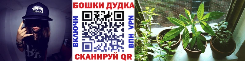 Бошки Шишки Цивильск