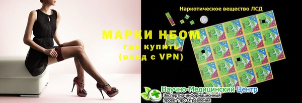 ECSTASY Покачи