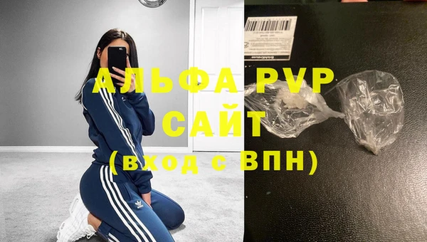 ECSTASY Покачи